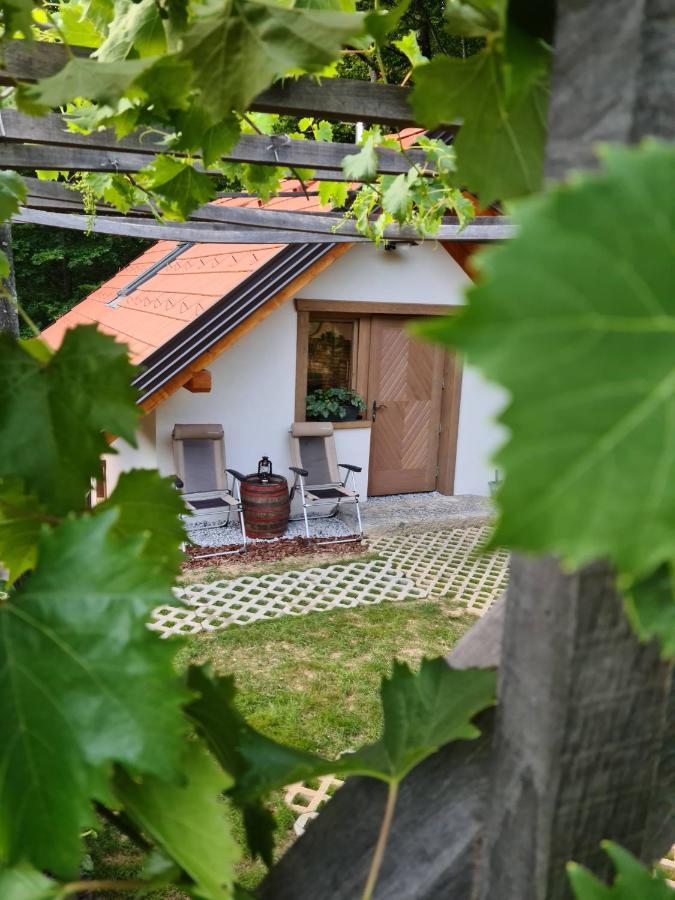 Zidanica Zagar Villa Dolenjske Toplice Kültér fotó